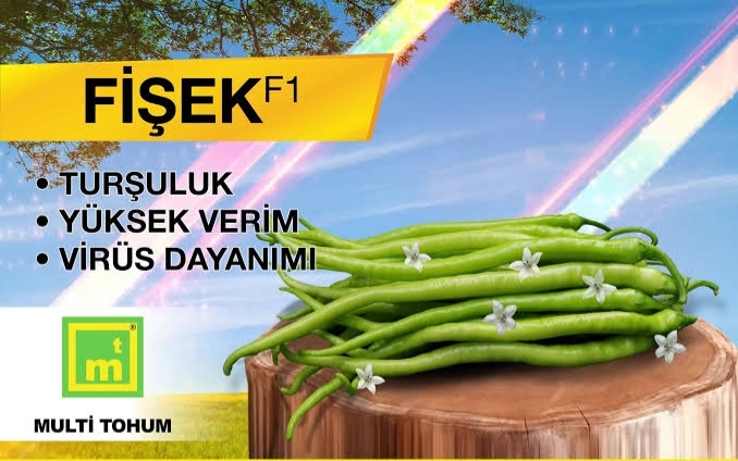 MULTI SEEDS FİŞEK BİBER TOHUMU