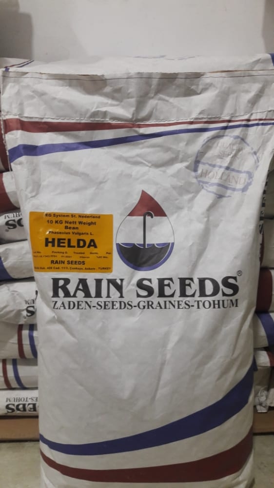 RAİN SEEDS HELDA SIRIK ÇALI FASULYE TOHUMU (1 KG)