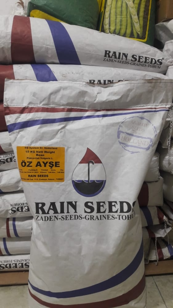 RAİN SEEDS ÖZAYŞE RAİN FASULYE TOHUMU (1 KG)