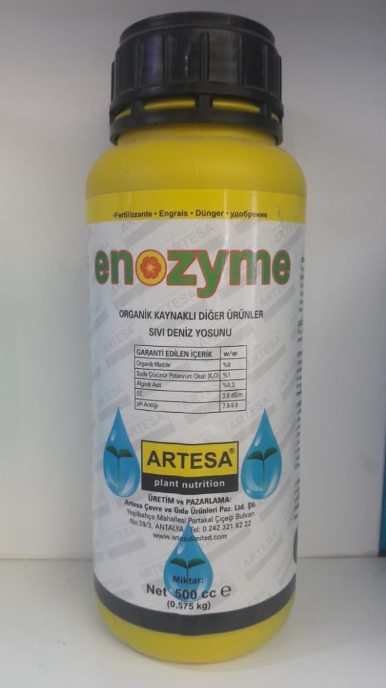 Enozyme Sıvı Deniz Yosunu 500 ML