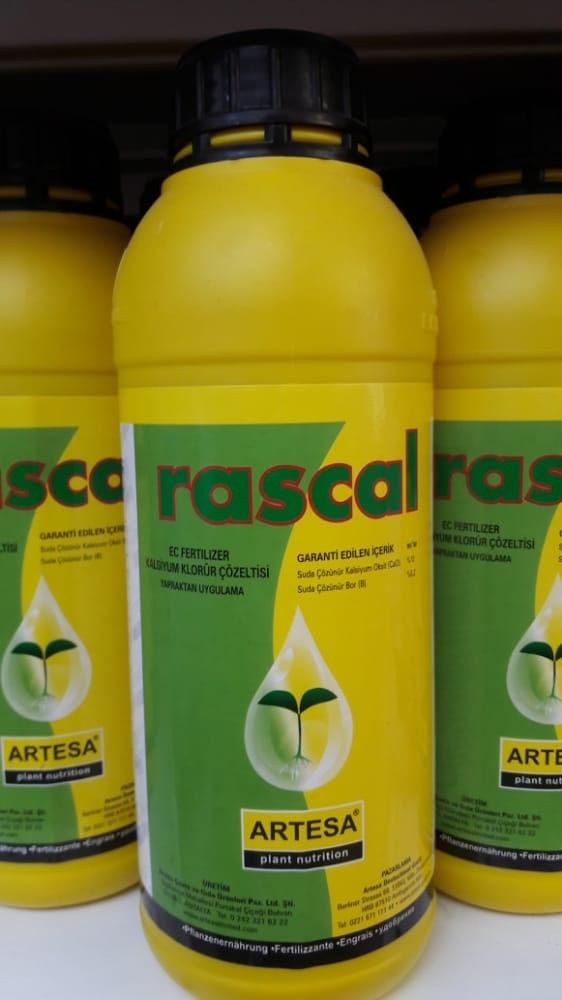 RASCAL KALSİYUM KLORÜR ÇÖZELTİSİ 1 LT