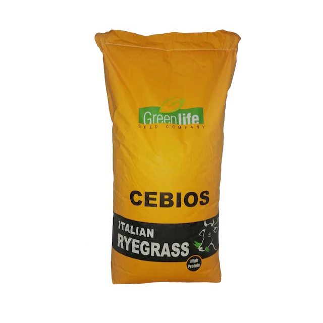 Cebios Italian Ryegrass Tohumu 25 kg